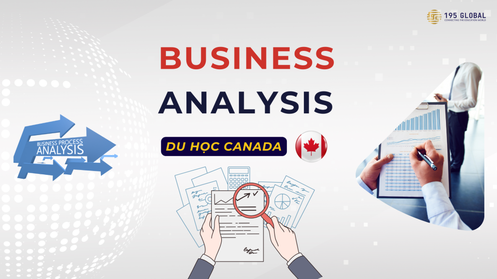 Du học Canada ngành Business Analysis