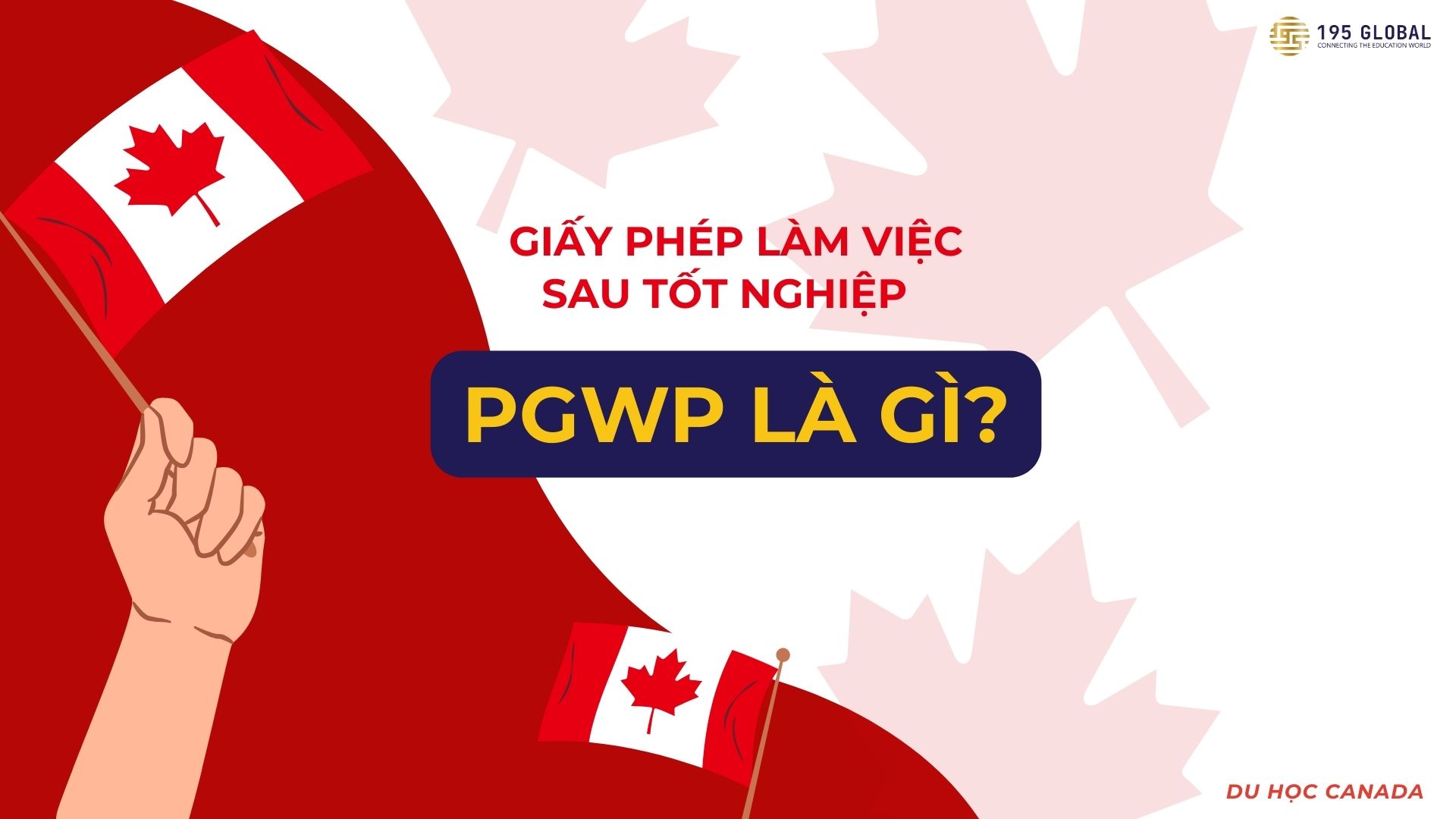 PGWP là gì