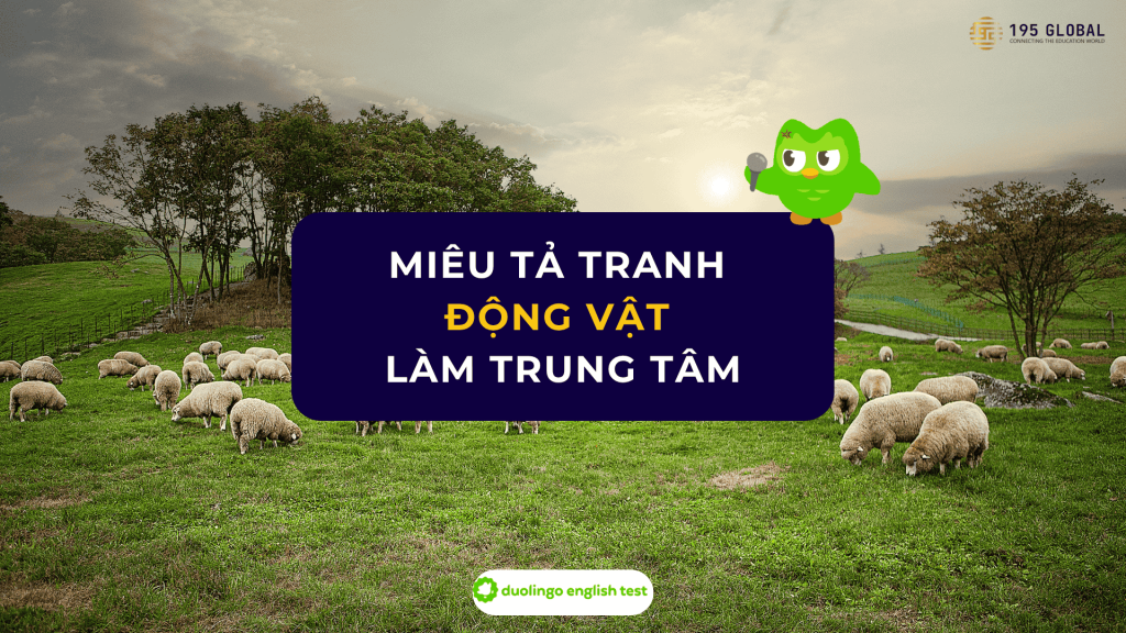 Duolingo English Test - Tranh động vật